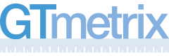 GTMetrix_240X80_Color_With_BG__1610624950089